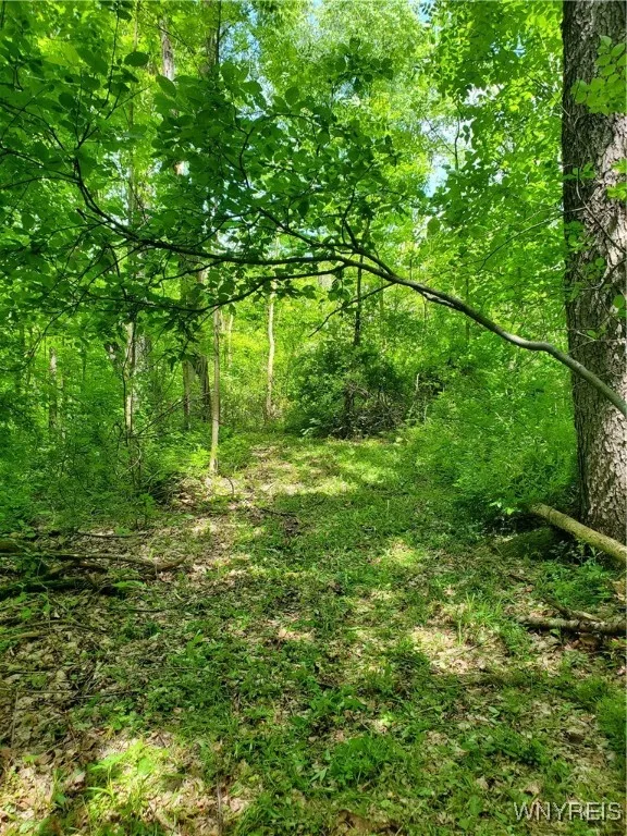 7200 Kent Road, Mansfield, New York 14731, Mansfield, New York 14731, ,Land,For Sale,7200 Kent Road, Mansfield, New York 14731,0,B1610678