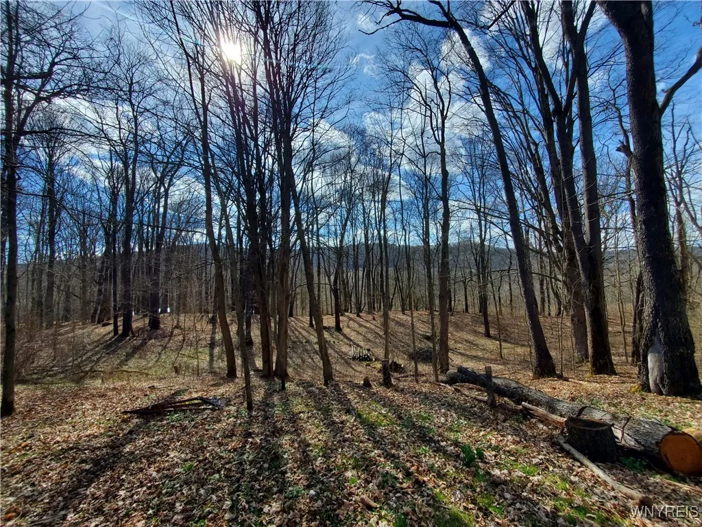 7200 Kent Road, Mansfield, New York 14731, Mansfield, New York 14731, ,Land,For Sale,7200 Kent Road, Mansfield, New York 14731,0,B1610678