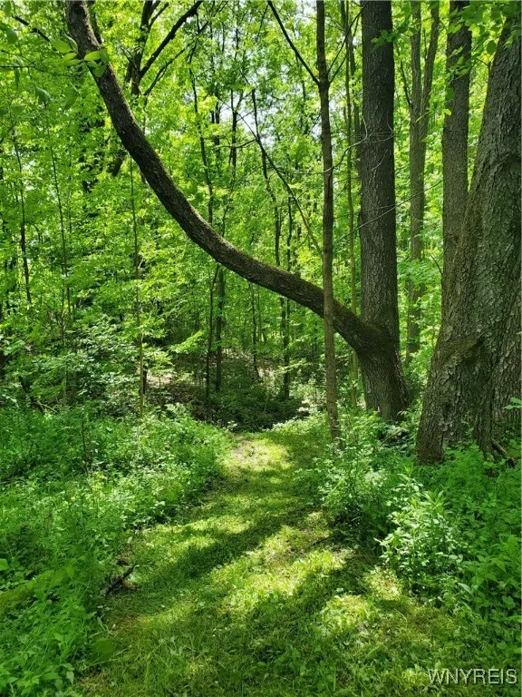7200 Kent Road, Mansfield, New York 14731, Mansfield, New York 14731, ,Land,For Sale,7200 Kent Road, Mansfield, New York 14731,0,B1610678