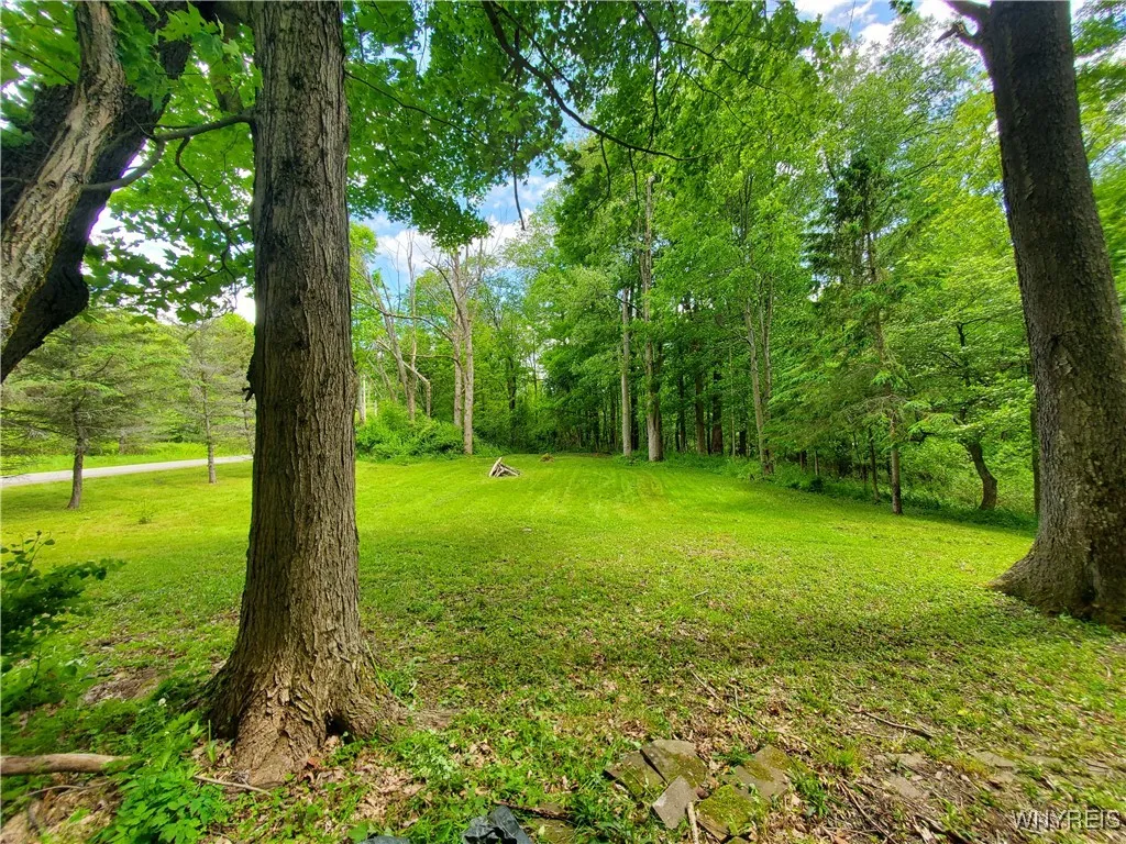 7200 Kent Road, Mansfield, New York 14731, Mansfield, New York 14731, ,Land,For Sale,7200 Kent Road, Mansfield, New York 14731,0,B1610678