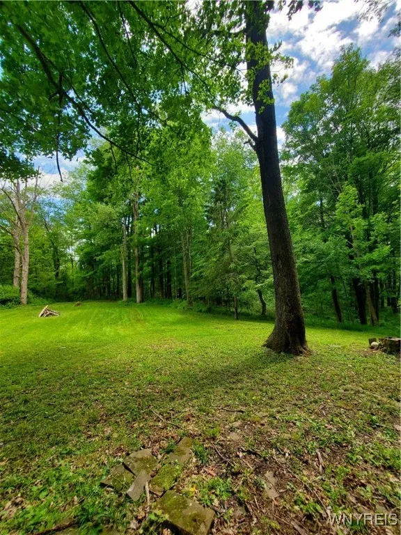 7200 Kent Road, Mansfield, New York 14731, Mansfield, New York 14731, ,Land,For Sale,7200 Kent Road, Mansfield, New York 14731,0,B1610678