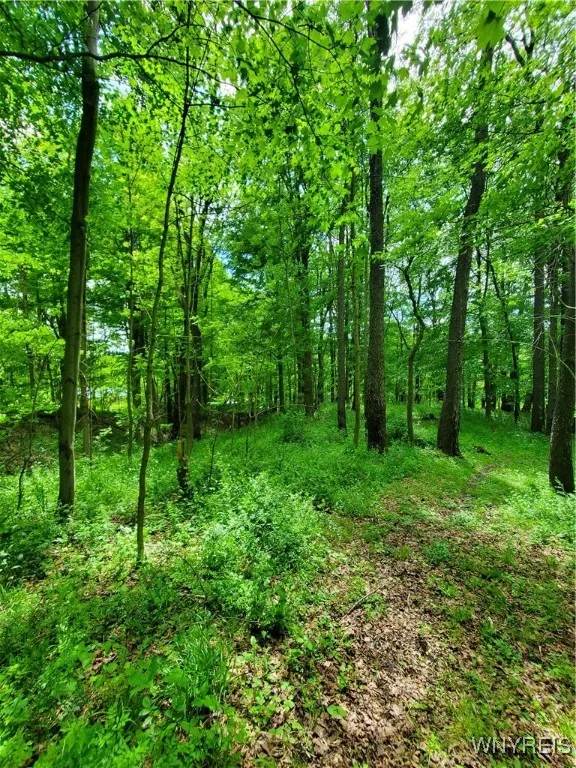 7200 Kent Road, Mansfield, New York 14731, Mansfield, New York 14731, ,Land,For Sale,7200 Kent Road, Mansfield, New York 14731,0,B1610678
