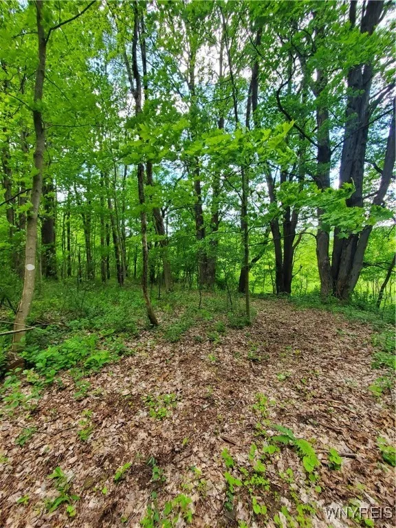 7200 Kent Road, Mansfield, New York 14731, Mansfield, New York 14731, ,Land,For Sale,7200 Kent Road, Mansfield, New York 14731,0,B1610678
