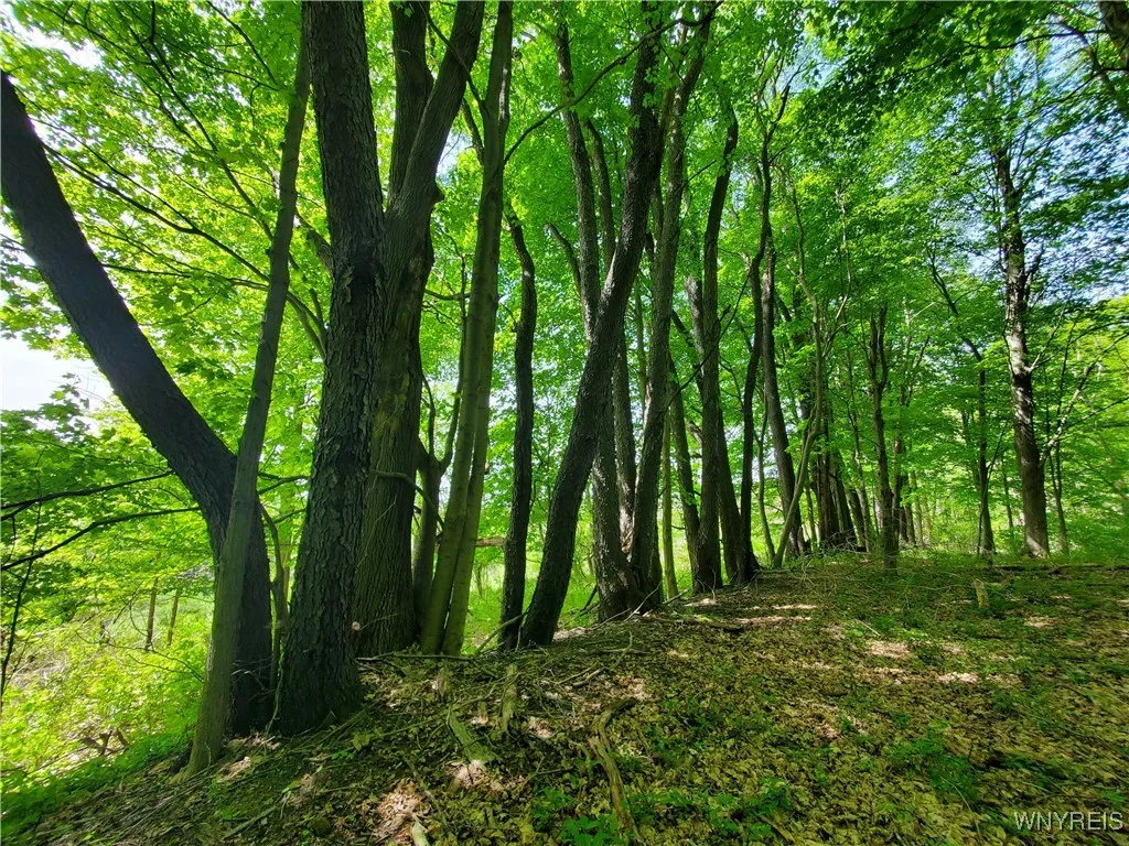 7200 Kent Road, Mansfield, New York 14731, Mansfield, New York 14731, ,Land,For Sale,7200 Kent Road, Mansfield, New York 14731,0,B1610678