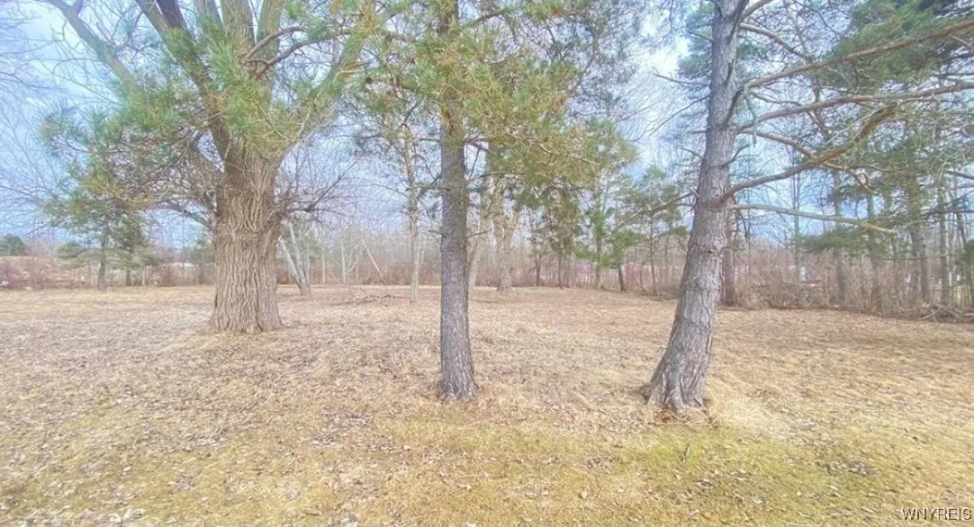 8137 Erie Road, Evans, New York 14006, Evans, New York 14006, ,Commercial Sale,Closed,8137 Erie Road, Evans, New York 14006,0,B1612100