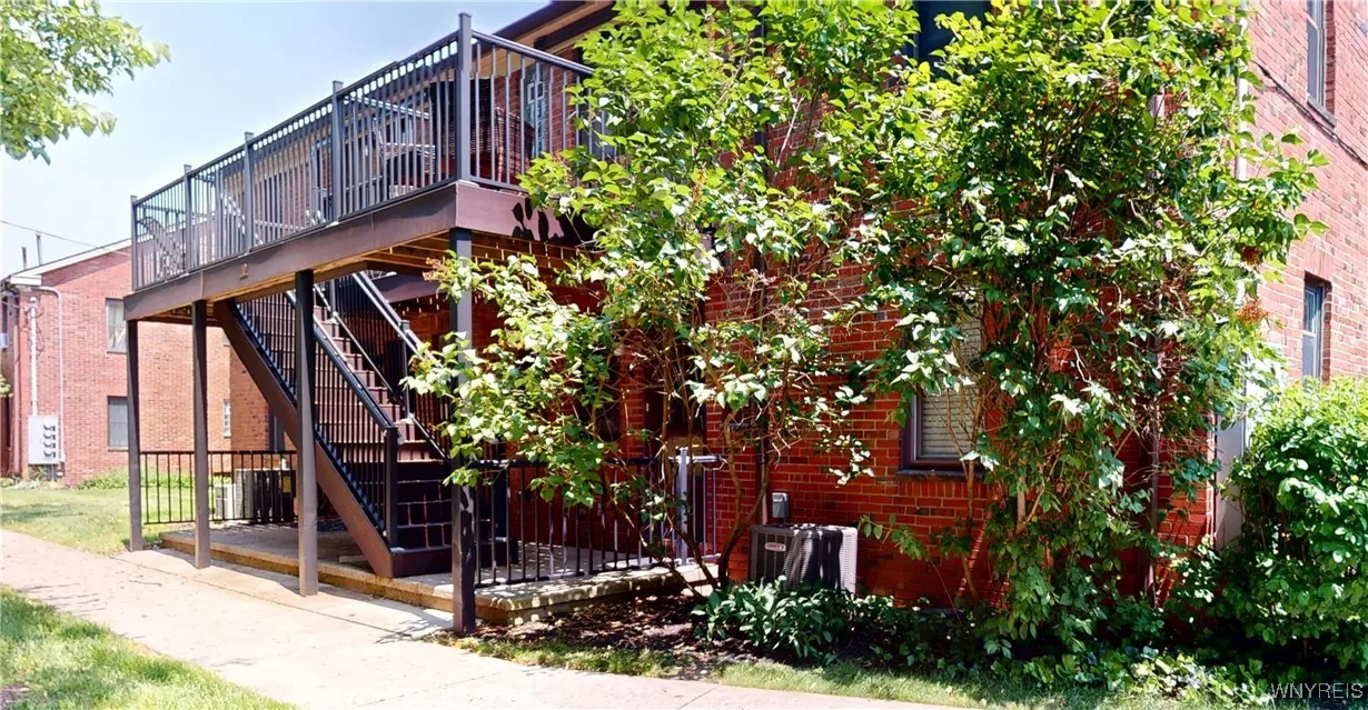 Fragrant Lilac trees during the Spring