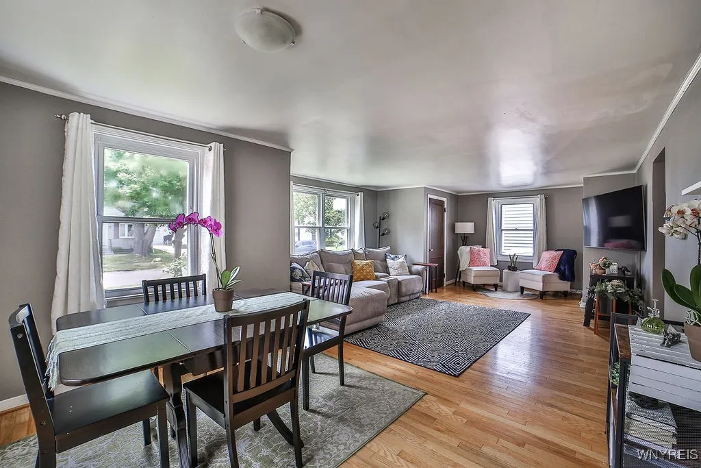 Dining / living area