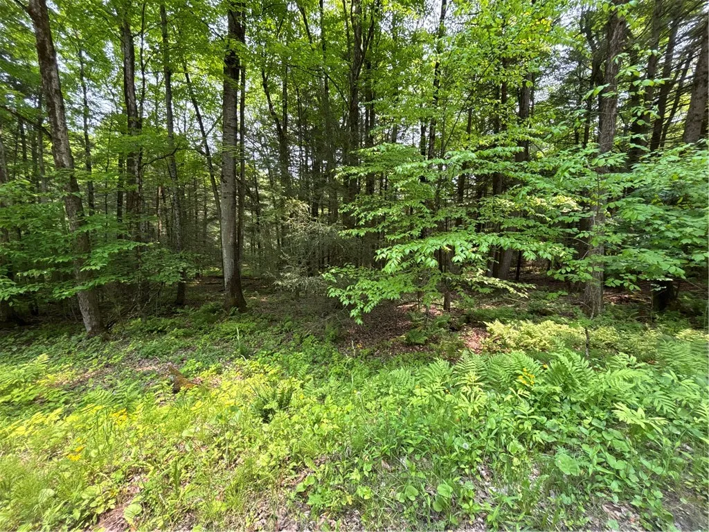 Spring Road South, Ossian, New York 14437, Ossian, New York 14437, ,Land,For Sale,Spring Road South, Ossian, New York 14437,0,R1612203
