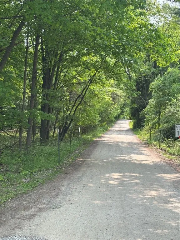 Spring Road South, Ossian, New York 14437, Ossian, New York 14437, ,Land,For Sale,Spring Road South, Ossian, New York 14437,0,R1612203