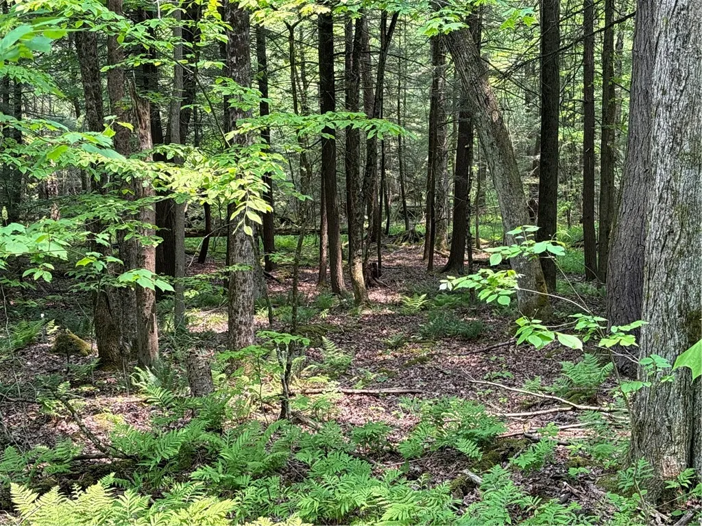 Spring Road South, Ossian, New York 14437, Ossian, New York 14437, ,Land,For Sale,Spring Road South, Ossian, New York 14437,0,R1612203