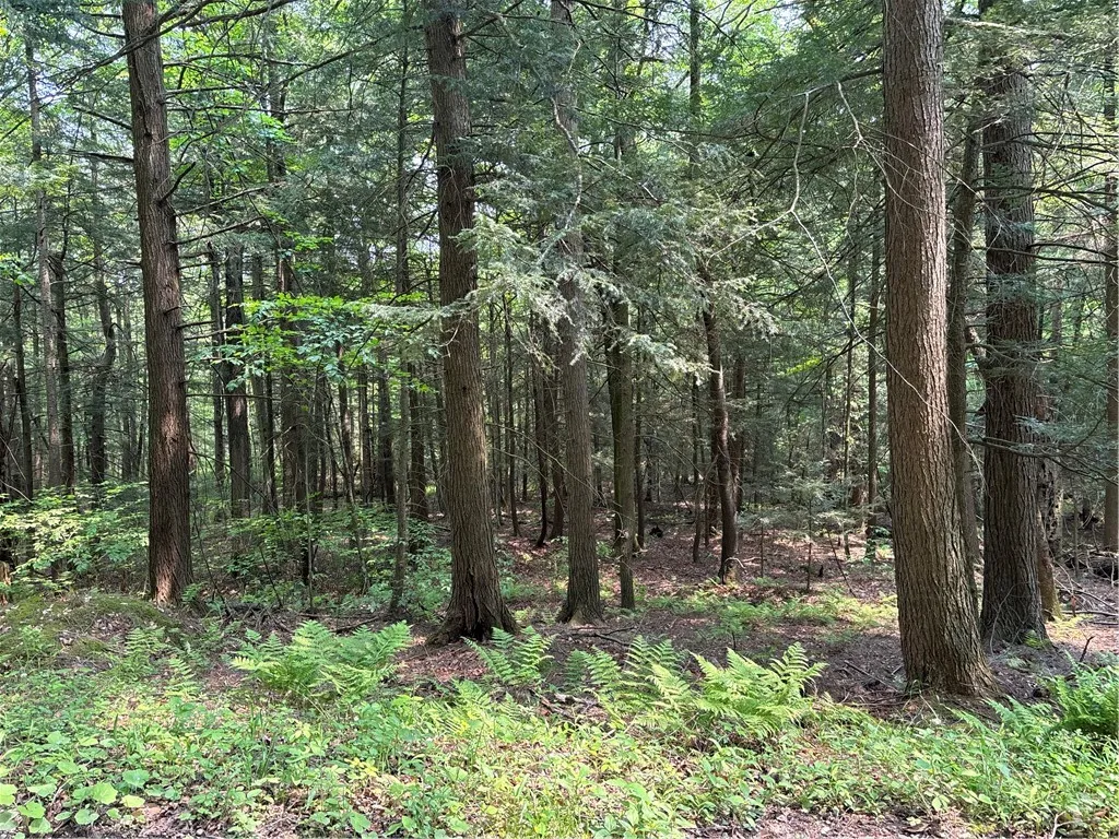 Spring Road South, Ossian, New York 14437, Ossian, New York 14437, ,Land,For Sale,Spring Road South, Ossian, New York 14437,0,R1612203