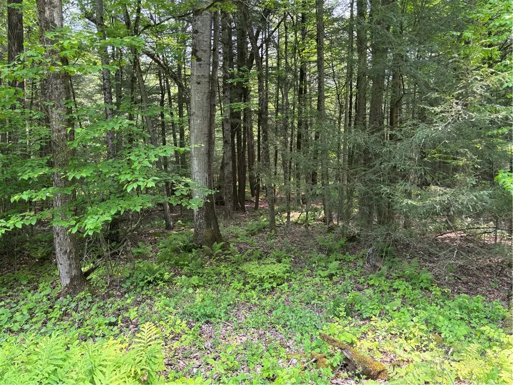 Spring Road South, Ossian, New York 14437, Ossian, New York 14437, ,Land,For Sale,Spring Road South, Ossian, New York 14437,0,R1612203