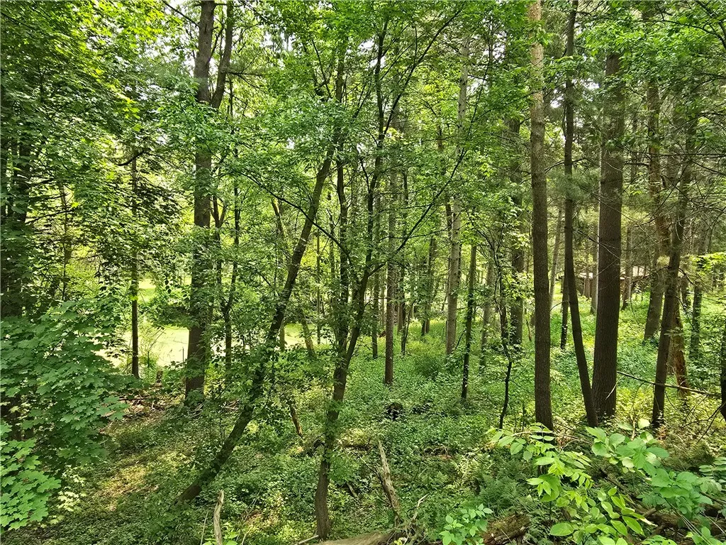 272 Mendon Center Road, Mendon, New York 14472, Mendon, New York 14472, 2 Bedrooms Bedrooms, 5 Rooms Rooms,1 BathroomBathrooms,Residential,Closed,272 Mendon Center Road, Mendon, New York 14472,R1610249