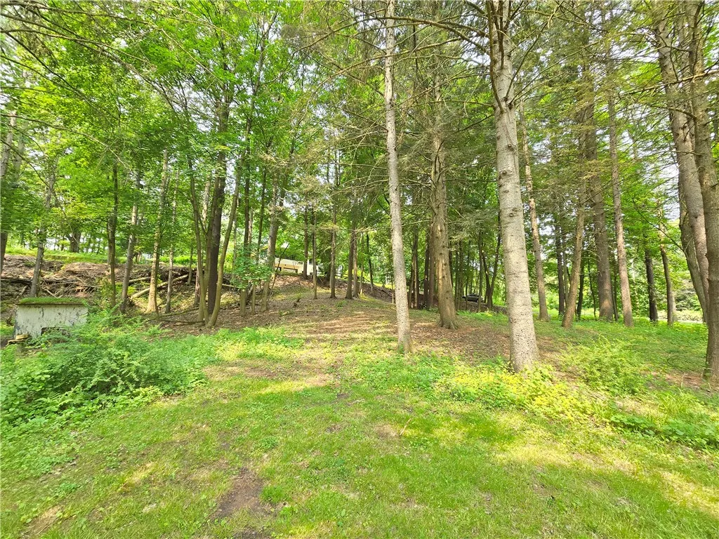 Near pond