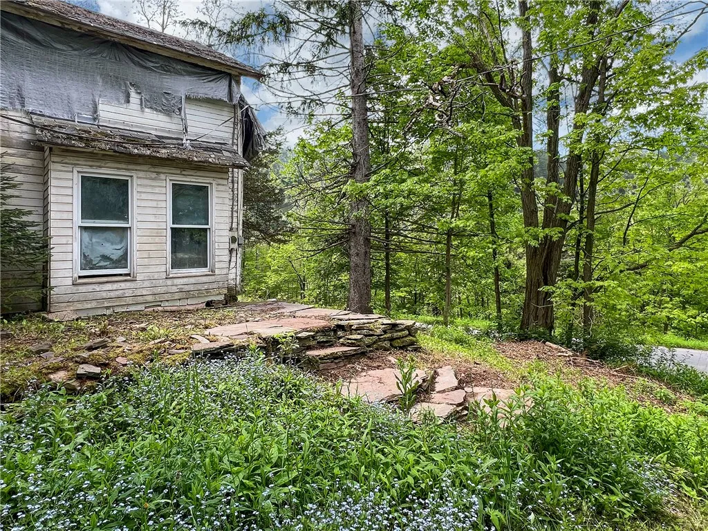 1092 Lewis Road, Meredith, New York 13757, Meredith, New York 13757, ,Residential,Closed,1092 Lewis Road, Meredith, New York 13757,R1612062