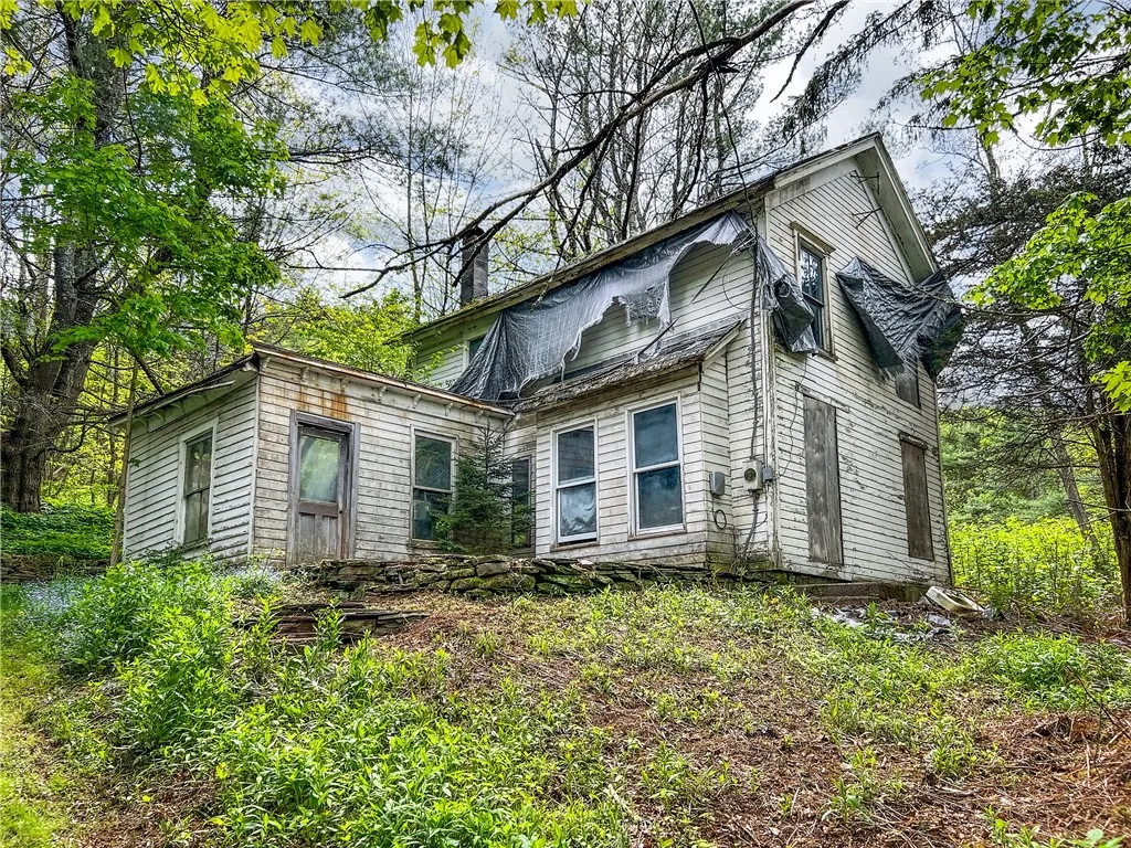 1092 Lewis Road, Meredith, New York 13757, Meredith, New York 13757, ,Residential,Closed,1092 Lewis Road, Meredith, New York 13757,R1612062