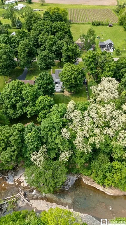 10348 Chestnut Road, Pomfret, New York 14048, Pomfret, New York 14048, 4 Bedrooms Bedrooms, 13 Rooms Rooms,2 BathroomsBathrooms,Residential,For Sale,10348 Chestnut Road, Pomfret, New York 14048,R1612099