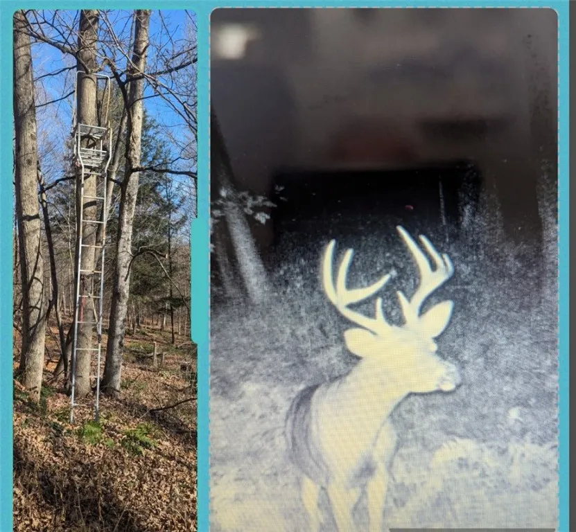 1381 County Rd 36, Norwich-town, New York 13815, Norwich, New York 13815, 3 Bedrooms Bedrooms, 9 Rooms Rooms,2 BathroomsBathrooms,Residential,For Sale,1381 County Rd 36, Norwich-town, New York 13815,R1611953