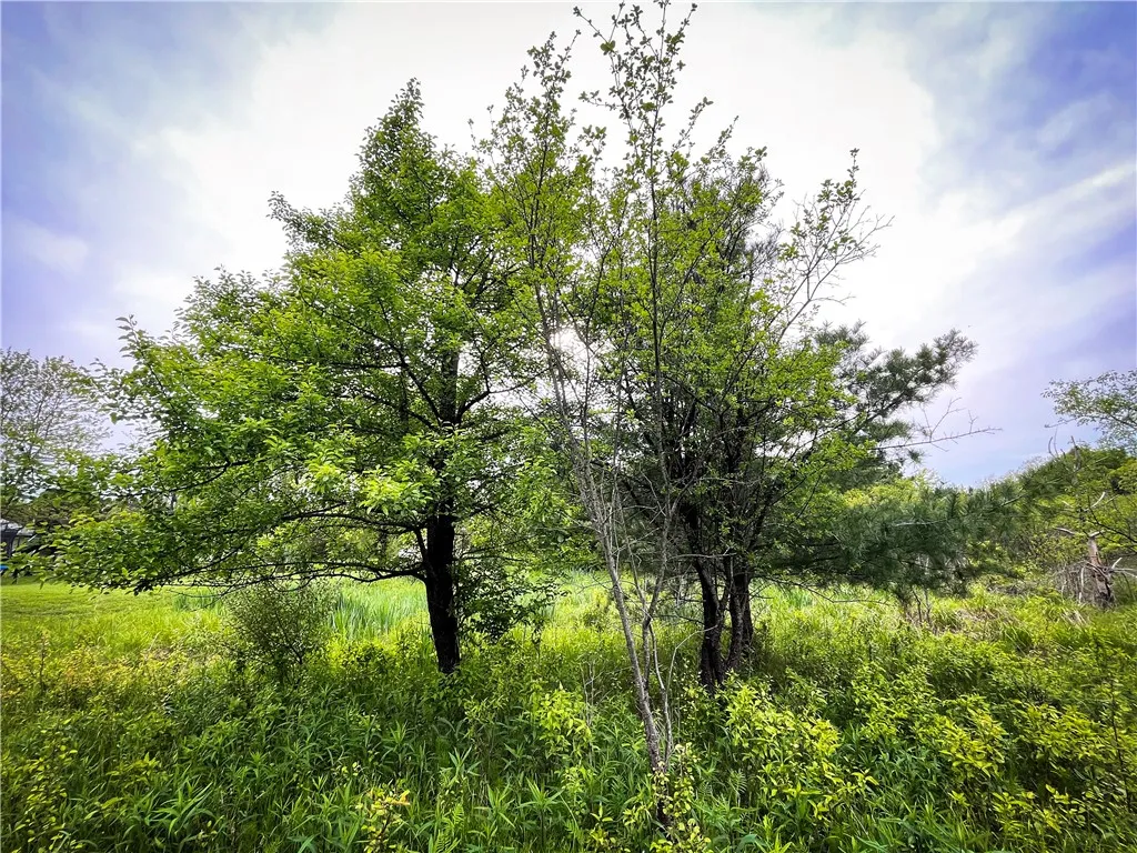 2001 County Road 23, Reading, New York 14891, Reading, New York 14891, 3 Bedrooms Bedrooms, 7 Rooms Rooms,2 BathroomsBathrooms,Residential,Closed,2001 County Road 23, Reading, New York 14891,R1612055