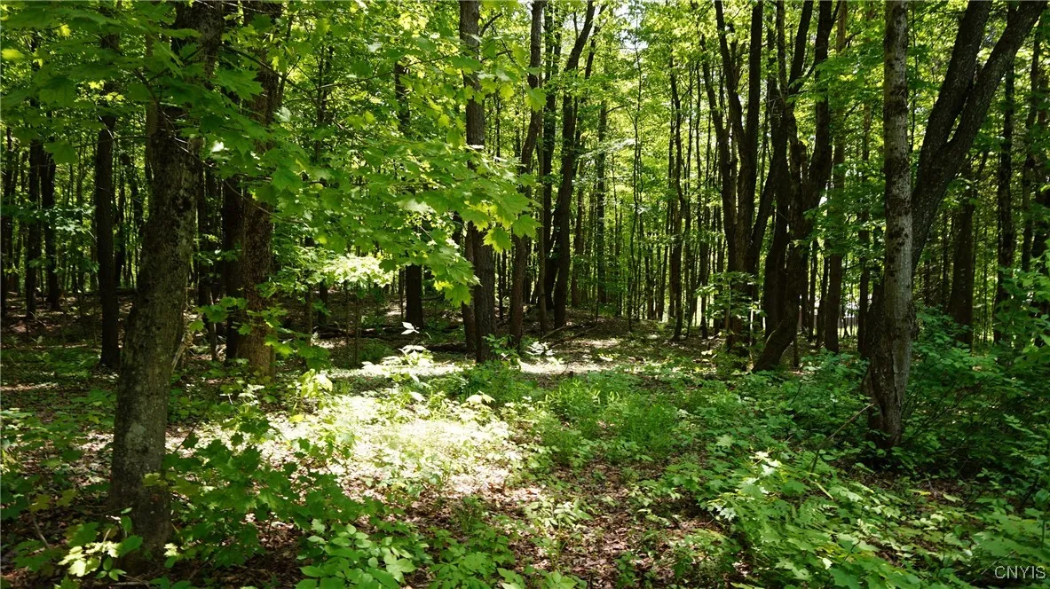 1507 Keeney Lane, Osceola, New York 13437, Osceola, New York 13437, 2 Bedrooms Bedrooms, 5 Rooms Rooms,Residential,Closed,1507 Keeney Lane, Osceola, New York 13437,0,S1612374