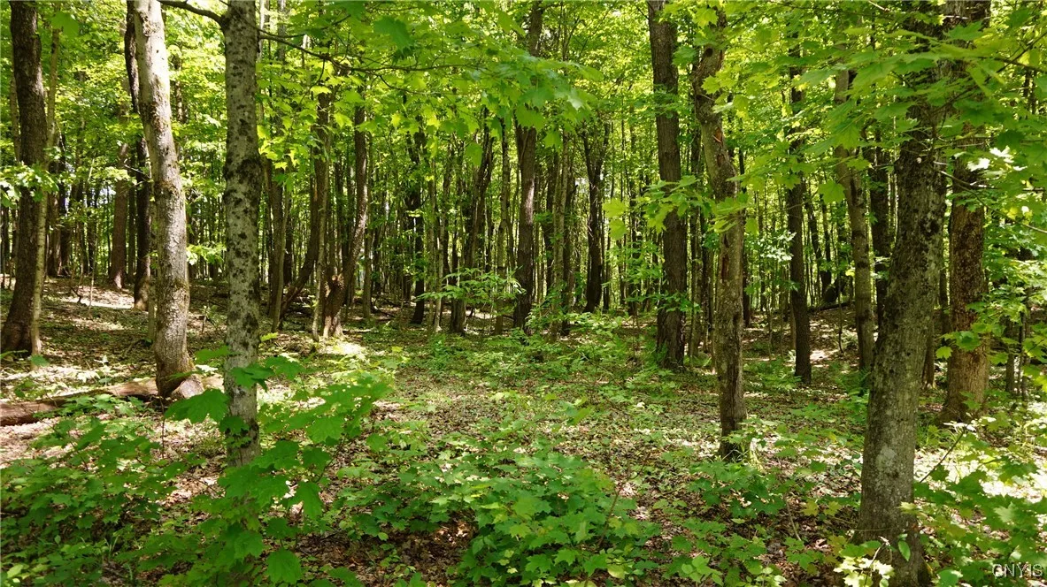 1507 Keeney Lane, Osceola, New York 13437, Osceola, New York 13437, 2 Bedrooms Bedrooms, 5 Rooms Rooms,Residential,Closed,1507 Keeney Lane, Osceola, New York 13437,0,S1612374