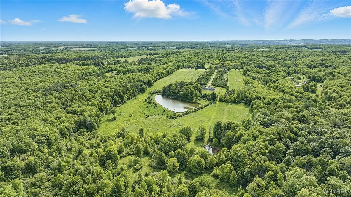 11020 Tinkham Road, Darien, New York 14040, Darien, New York 14040, 3 Bedrooms Bedrooms, 5 Rooms Rooms,1 BathroomBathrooms,Residential,Closed,11020 Tinkham Road, Darien, New York 14040,0,B1612054