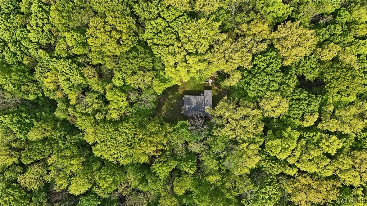 Ischua, New York 14743, 4 Room Rooms,Land,For Sale,0,B1612161