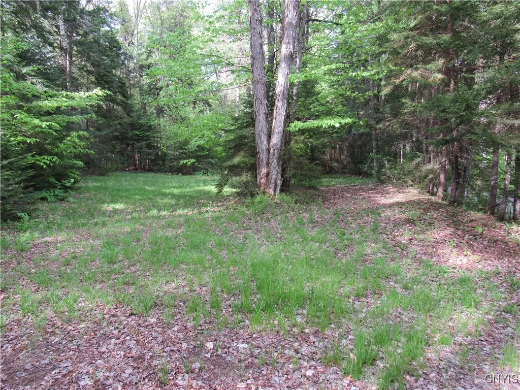 303 Uncas Road, Inlet, New York 13360, Inlet, New York 13360, 1 Bedroom Bedrooms, 3 Rooms Rooms,1 BathroomBathrooms,Residential,Closed,303 Uncas Road, Inlet, New York 13360,S1611261