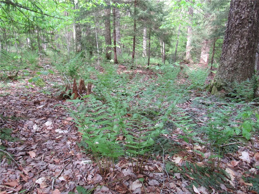 303 Uncas Road, Inlet, New York 13360, Inlet, New York 13360, 1 Bedroom Bedrooms, 3 Rooms Rooms,1 BathroomBathrooms,Residential,Closed,303 Uncas Road, Inlet, New York 13360,S1611261