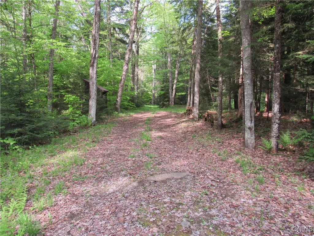 303 Uncas Road, Inlet, New York 13360, Inlet, New York 13360, 1 Bedroom Bedrooms, 3 Rooms Rooms,1 BathroomBathrooms,Residential,Closed,303 Uncas Road, Inlet, New York 13360,S1611261