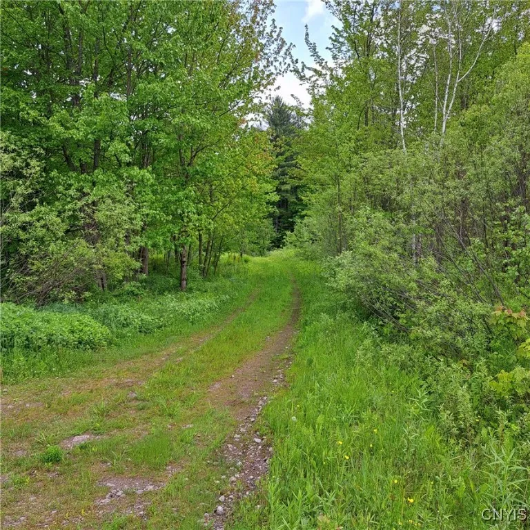 Westdale Road 16, Florence, New York 13316, Florence, New York 13316, ,Land,For Sale,Westdale Road 16, Florence, New York 13316,0,S1611517
