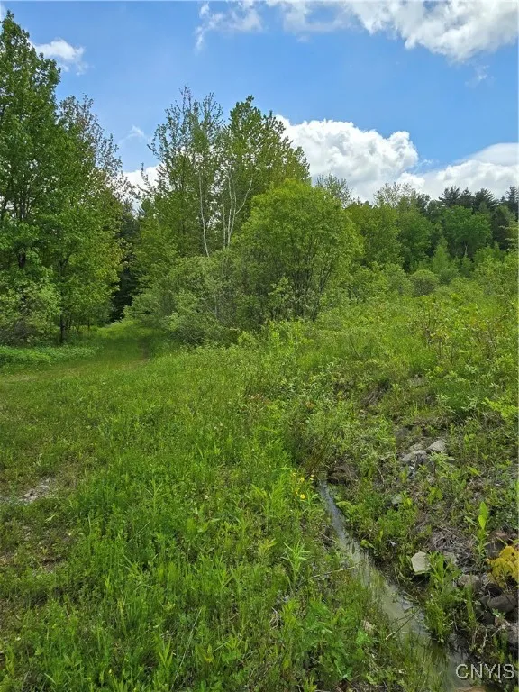 Westdale Road 16, Florence, New York 13316, Florence, New York 13316, ,Land,For Sale,Westdale Road 16, Florence, New York 13316,0,S1611517