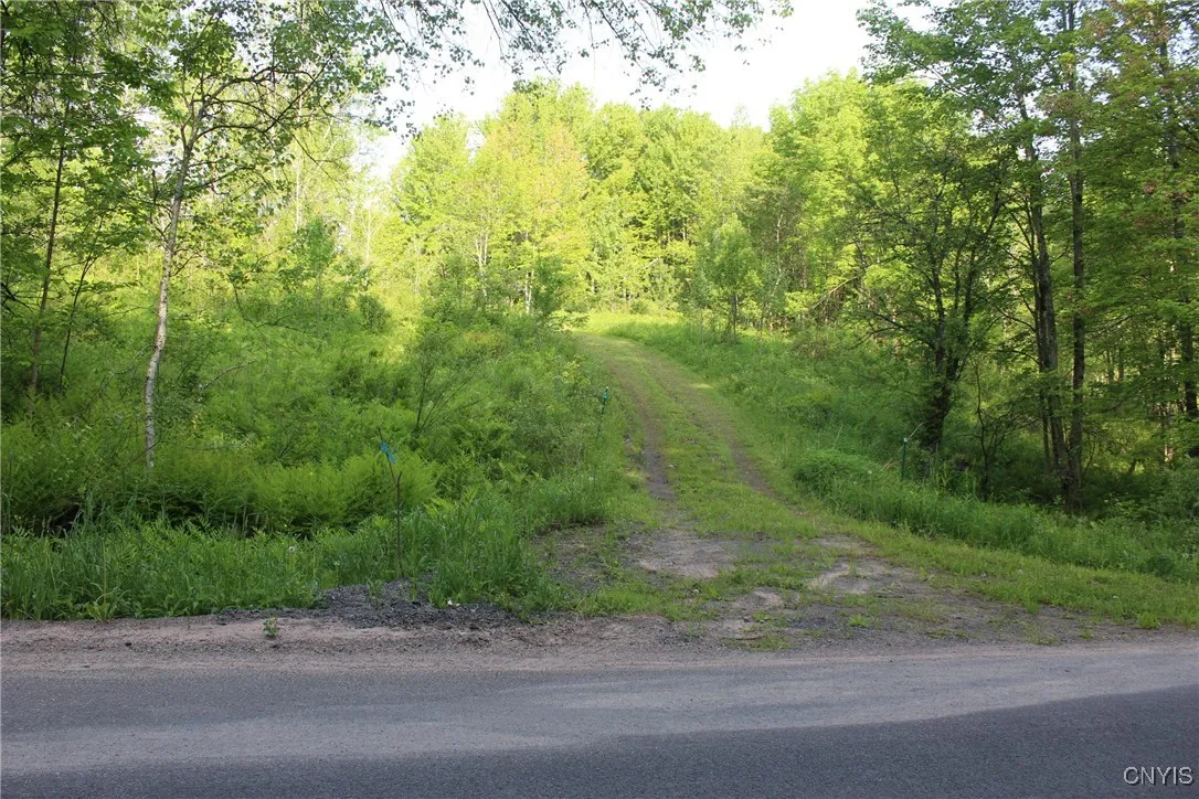 Westdale Road 16, Florence, New York 13316, Florence, New York 13316, ,Land,For Sale,Westdale Road 16, Florence, New York 13316,0,S1611517