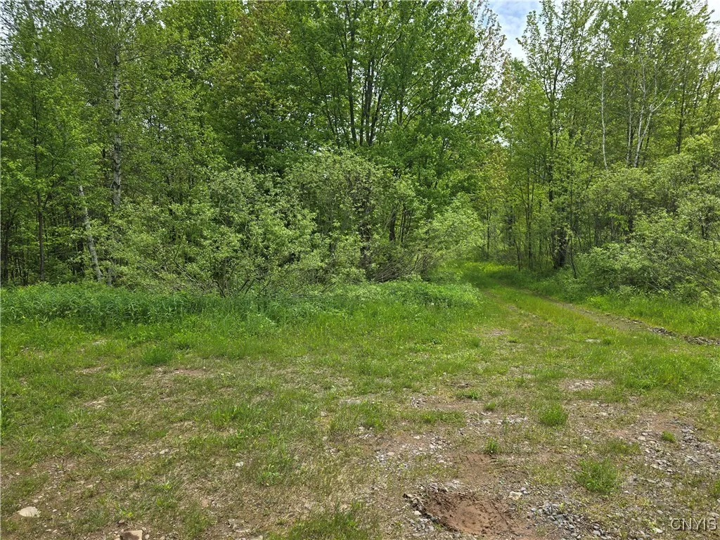 Westdale Road 16, Florence, New York 13316, Florence, New York 13316, ,Land,For Sale,Westdale Road 16, Florence, New York 13316,0,S1611517