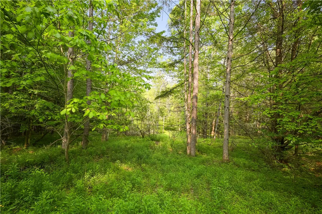 L22.22 Mud Road, Laurens, New York 13825, Laurens, New York 13825, ,Land,Closed,L22.22 Mud Road, Laurens, New York 13825,0,R1611810