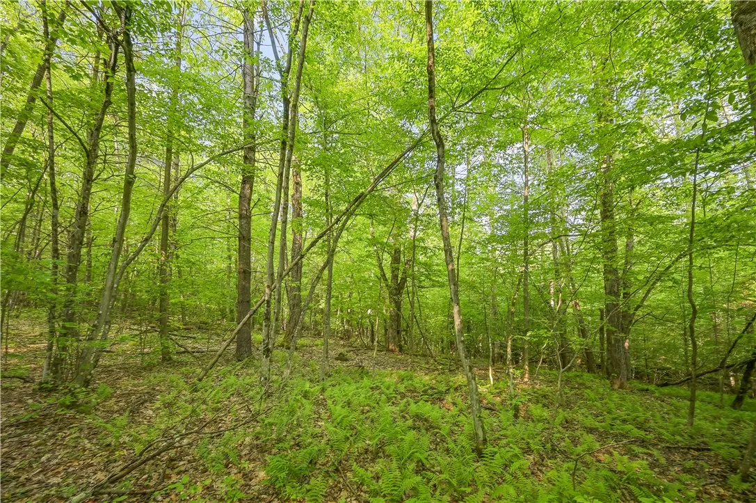 L22.22 Mud Road, Laurens, New York 13825, Laurens, New York 13825, ,Land,Closed,L22.22 Mud Road, Laurens, New York 13825,0,R1611810