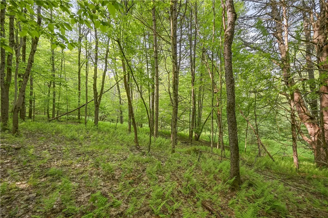 L22.22 Mud Road, Laurens, New York 13825, Laurens, New York 13825, ,Land,Closed,L22.22 Mud Road, Laurens, New York 13825,0,R1611810