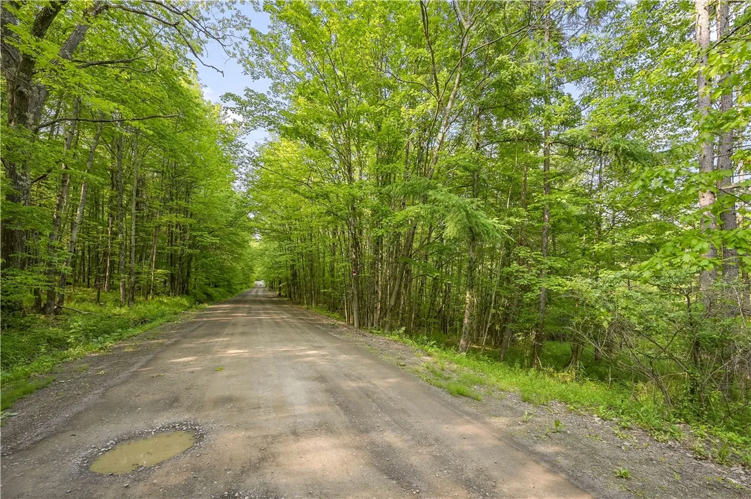 L22.22 Mud Road, Laurens, New York 13825, Laurens, New York 13825, ,Land,Closed,L22.22 Mud Road, Laurens, New York 13825,0,R1611810