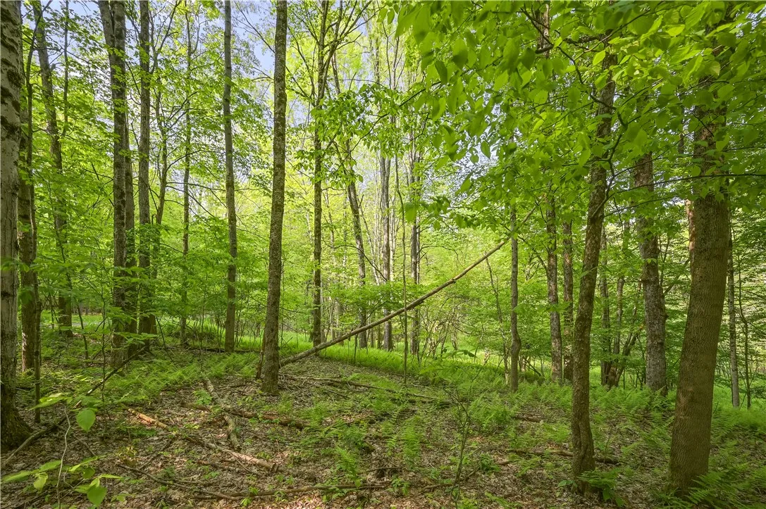 L22.22 Mud Road, Laurens, New York 13825, Laurens, New York 13825, ,Land,Closed,L22.22 Mud Road, Laurens, New York 13825,0,R1611810