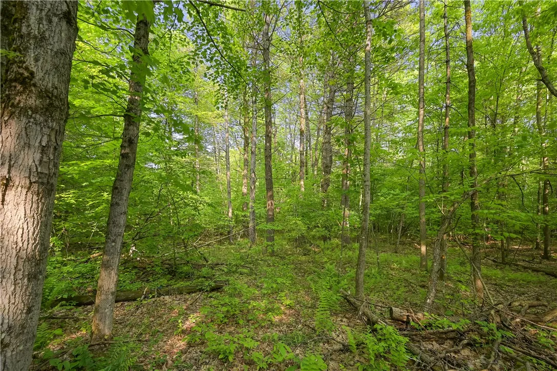 L22.22 Mud Road, Laurens, New York 13825, Laurens, New York 13825, ,Land,Closed,L22.22 Mud Road, Laurens, New York 13825,0,R1611810