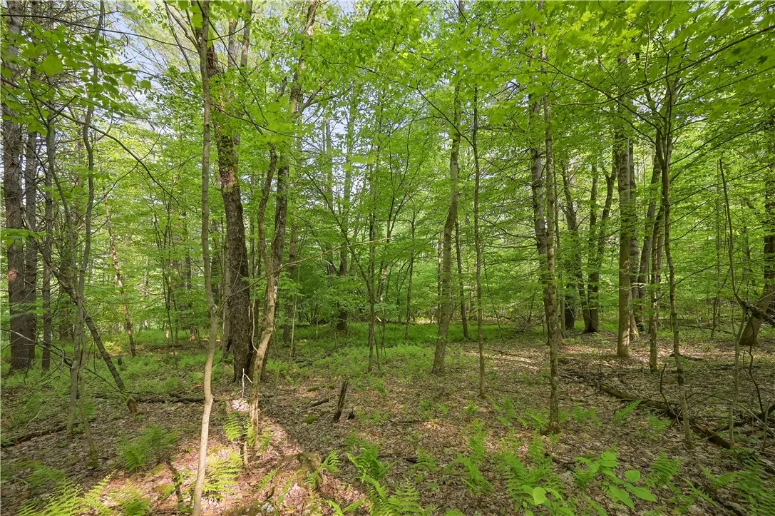 L22.22 Mud Road, Laurens, New York 13825, Laurens, New York 13825, ,Land,Closed,L22.22 Mud Road, Laurens, New York 13825,0,R1611810