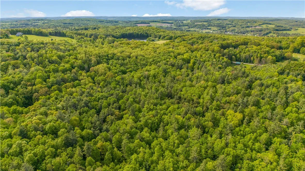 L22.22 Mud Road, Laurens, New York 13825, Laurens, New York 13825, ,Land,Closed,L22.22 Mud Road, Laurens, New York 13825,0,R1611810