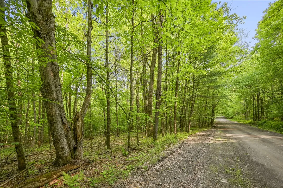 L22.22 Mud Road, Laurens, New York 13825, Laurens, New York 13825, ,Land,Closed,L22.22 Mud Road, Laurens, New York 13825,0,R1611810