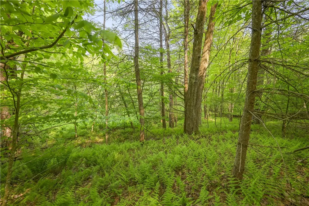 L22.22 Mud Road, Laurens, New York 13825, Laurens, New York 13825, ,Land,Closed,L22.22 Mud Road, Laurens, New York 13825,0,R1611810