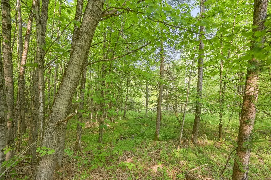 L22.22 Mud Road, Laurens, New York 13825, Laurens, New York 13825, ,Land,Closed,L22.22 Mud Road, Laurens, New York 13825,0,R1611810