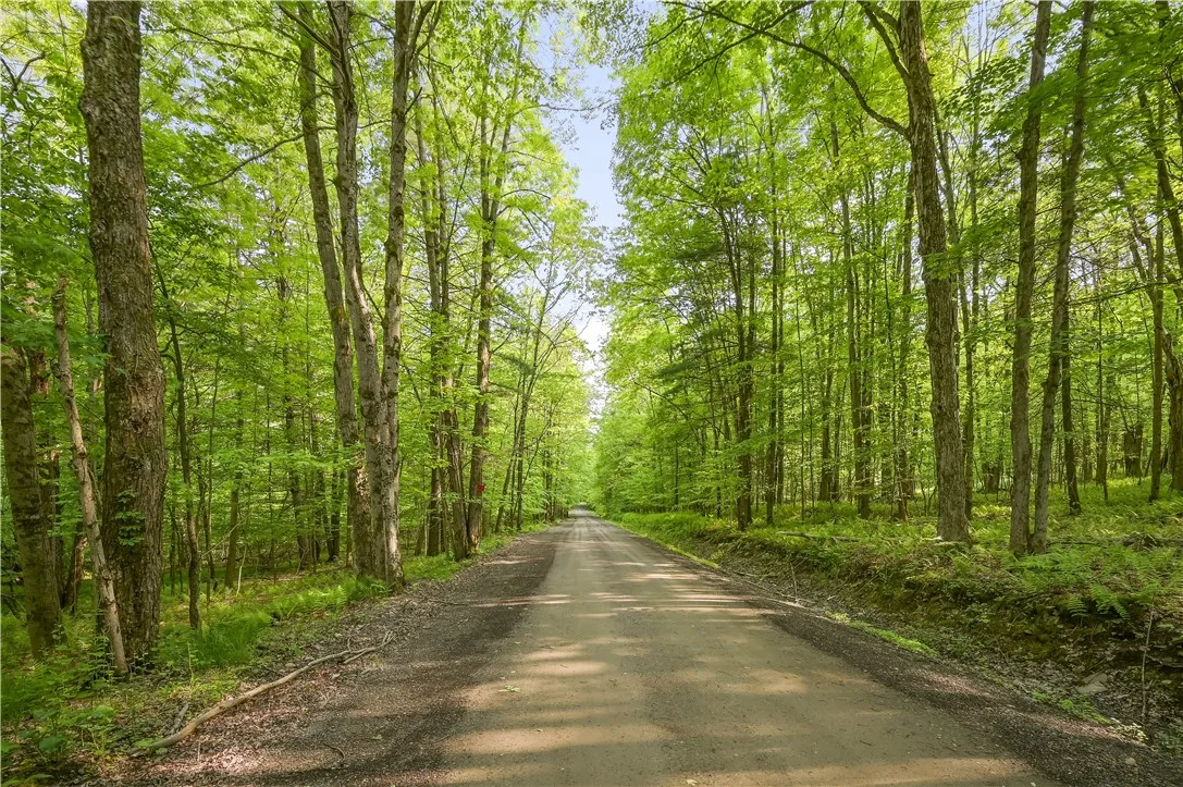 L22.22 Mud Road, Laurens, New York 13825, Laurens, New York 13825, ,Land,Closed,L22.22 Mud Road, Laurens, New York 13825,0,R1611810