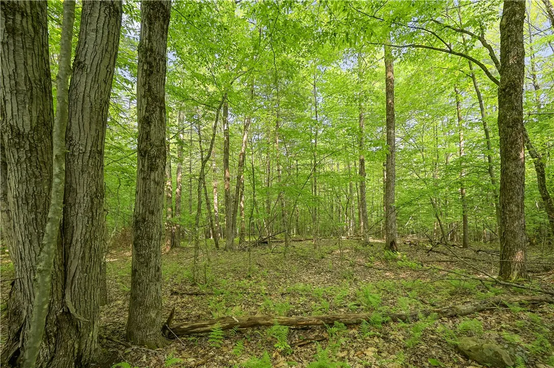 L22.22 Mud Road, Laurens, New York 13825, Laurens, New York 13825, ,Land,Closed,L22.22 Mud Road, Laurens, New York 13825,0,R1611810