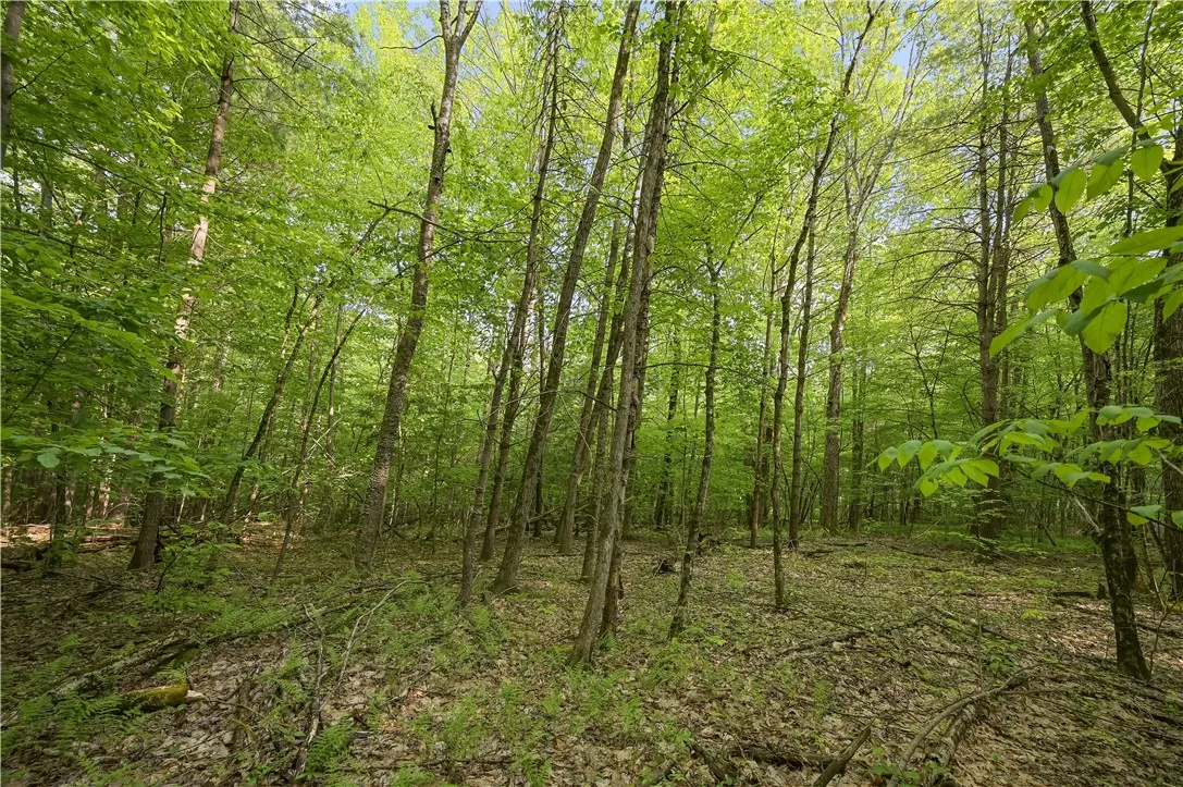 L22.22 Mud Road, Laurens, New York 13825, Laurens, New York 13825, ,Land,Closed,L22.22 Mud Road, Laurens, New York 13825,0,R1611810