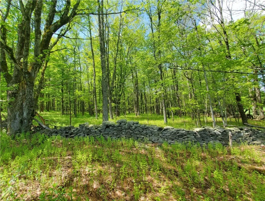 656 Mcmullen Road, Masonville, New York 13733, Masonville, New York 13733, 2 Bedrooms Bedrooms, 7 Rooms Rooms,2 BathroomsBathrooms,Residential,Closed,656 Mcmullen Road, Masonville, New York 13733,0,R1610573