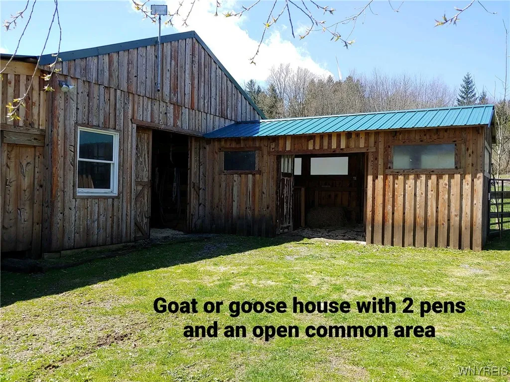 5877 Route 362, Wethersfield, New York 14024, Wethersfield, New York 14024, 5 Bedrooms Bedrooms, 11 Rooms Rooms,2 BathroomsBathrooms,Residential,Closed,5877 Route 362, Wethersfield, New York 14024,0,B1612935 5877 Route 362, Wethersfield, New York 14024, Wethersfield, New York 14024, 5 Bedrooms Bedrooms, 11 Rooms Rooms,2 BathroomsBathrooms,Residential,Closed,5877 Route 362, Wethersfield, New York 14024,0,B1612935